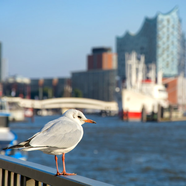 Gewerbeimmobilien Hamburg HafenCity 2