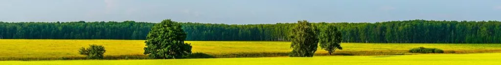 Investment in Land- und Forstimmobilien
