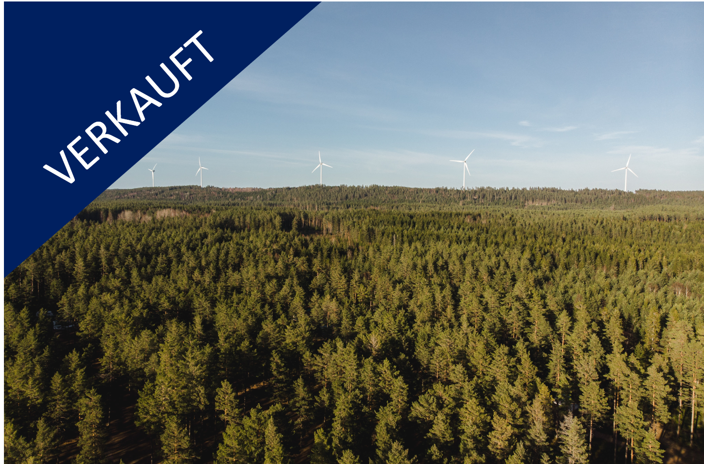 Forstbetrieb Sachsen Anhalt Verkauft