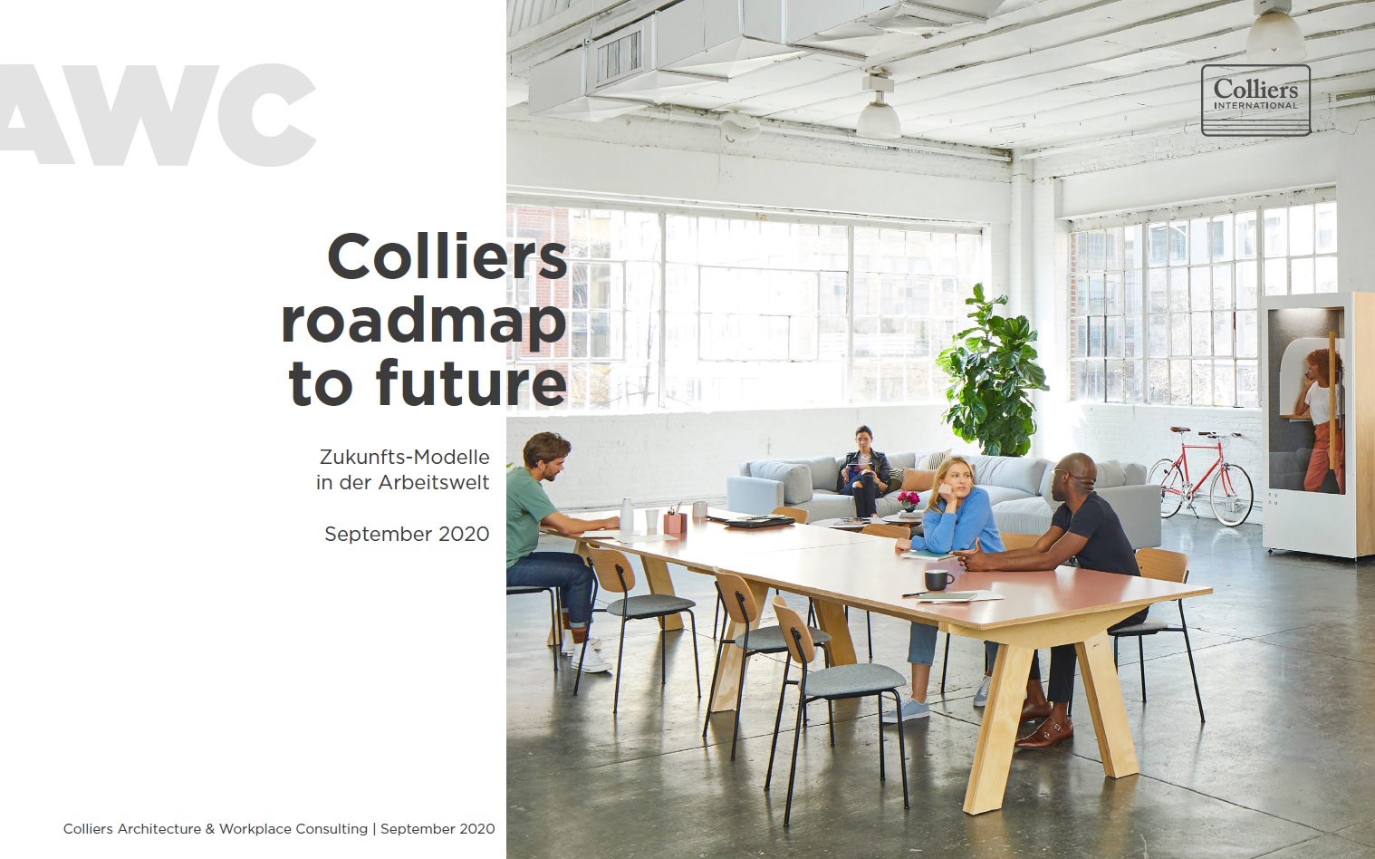 Roadmap