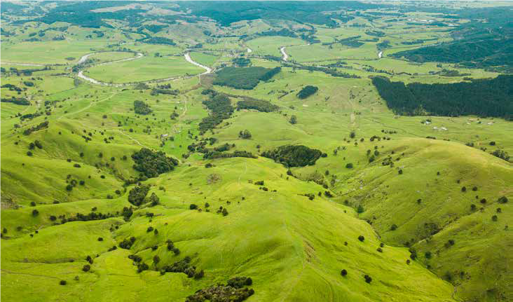 Neuseeland/Northland