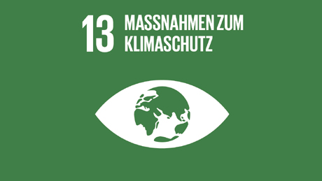 Accelerating Net Zero SDG 13