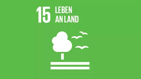 Accelerating Net Zero SDG 15 Accelerating Net Zero SDG 15