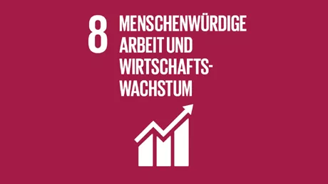 Accelerating Net Zero SDG 8 Accelerating Net Zero SDG 8