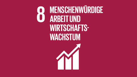 Accelerating Net Zero SDG 8