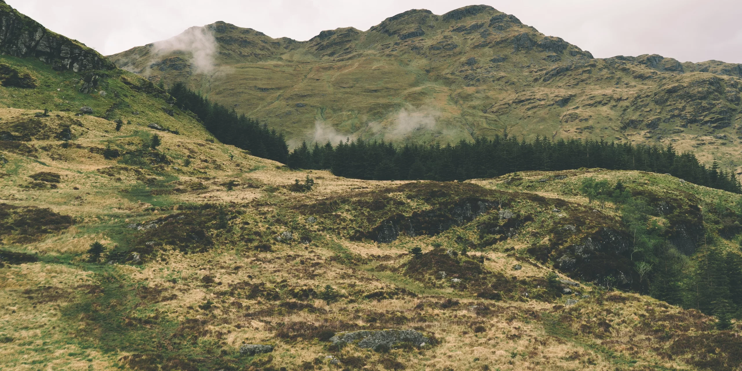 Schottland 2