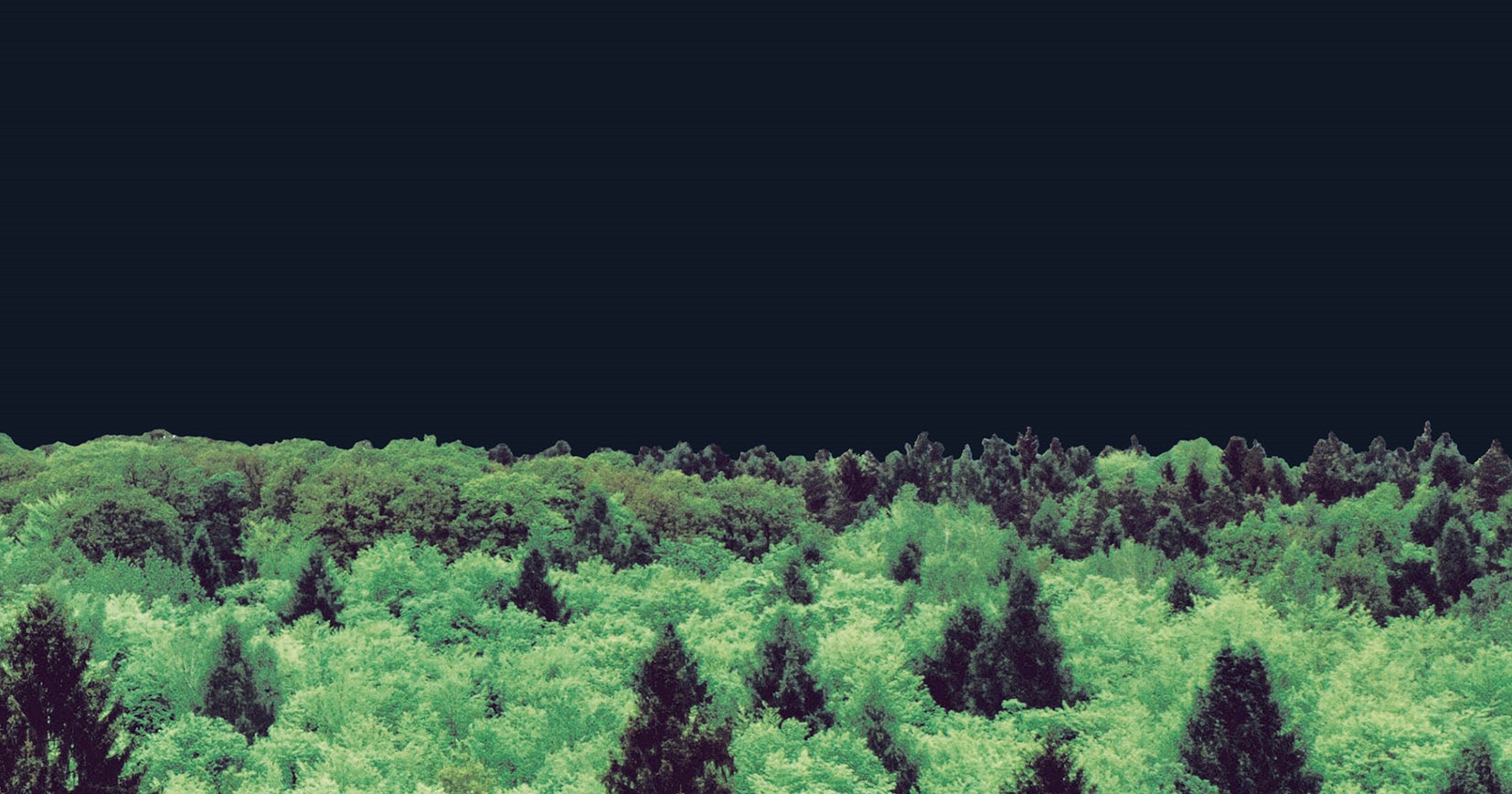 ForstTitel1