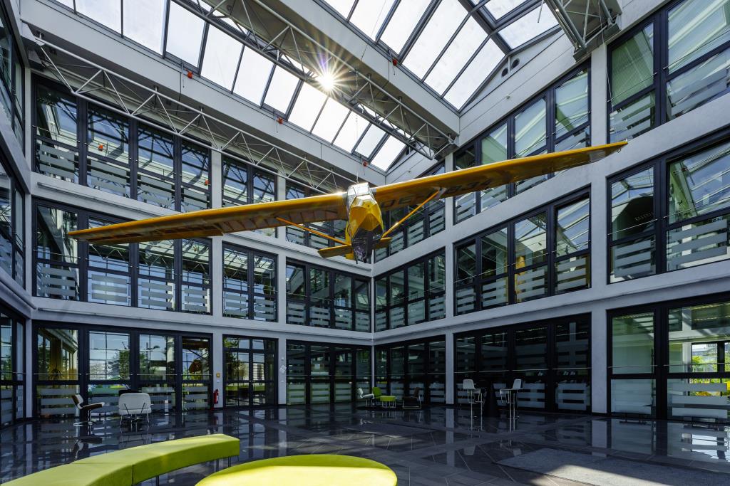 Albatros