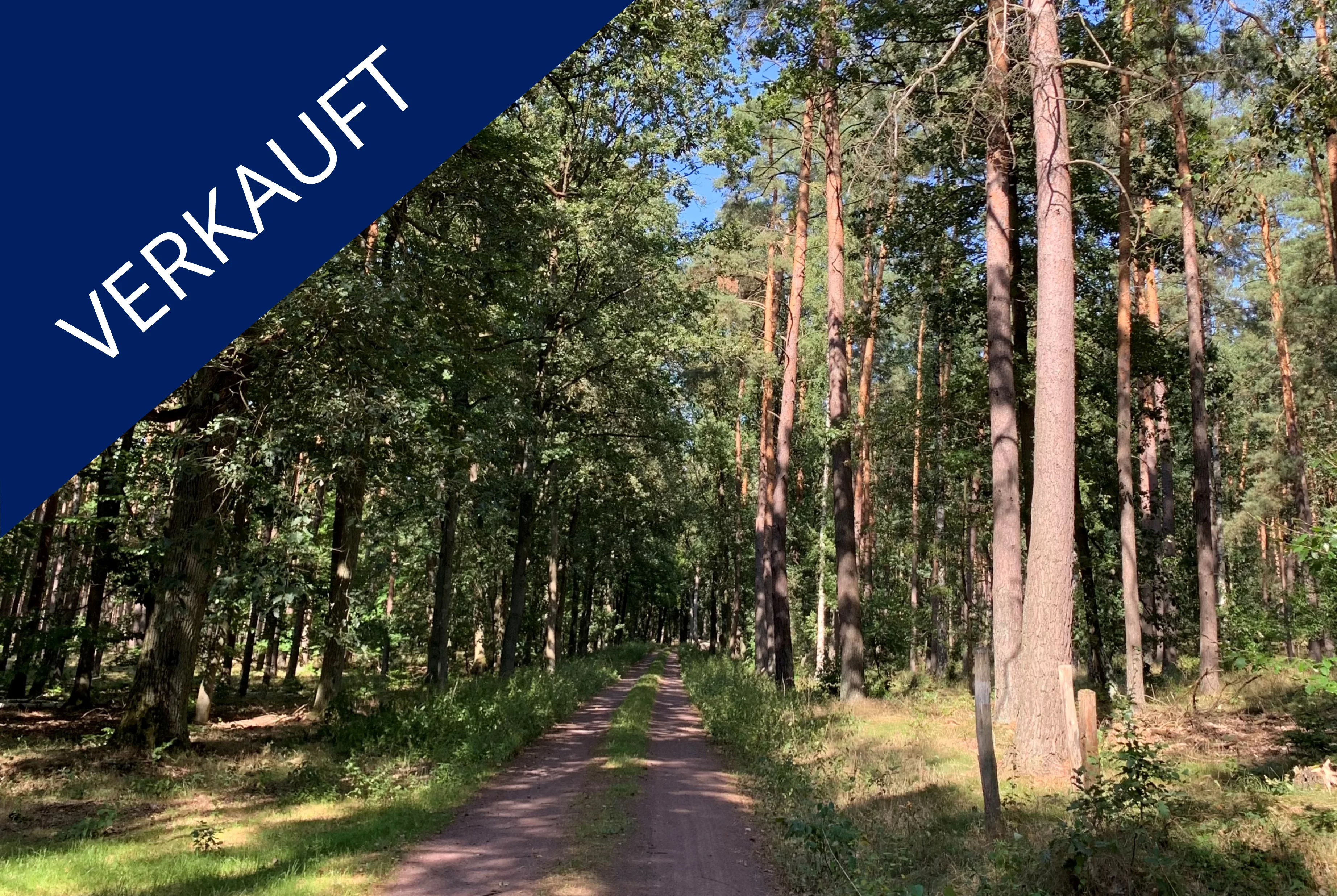 Verkauft Forst Brandenburg