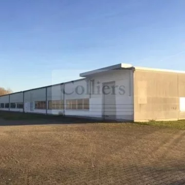 Titel
