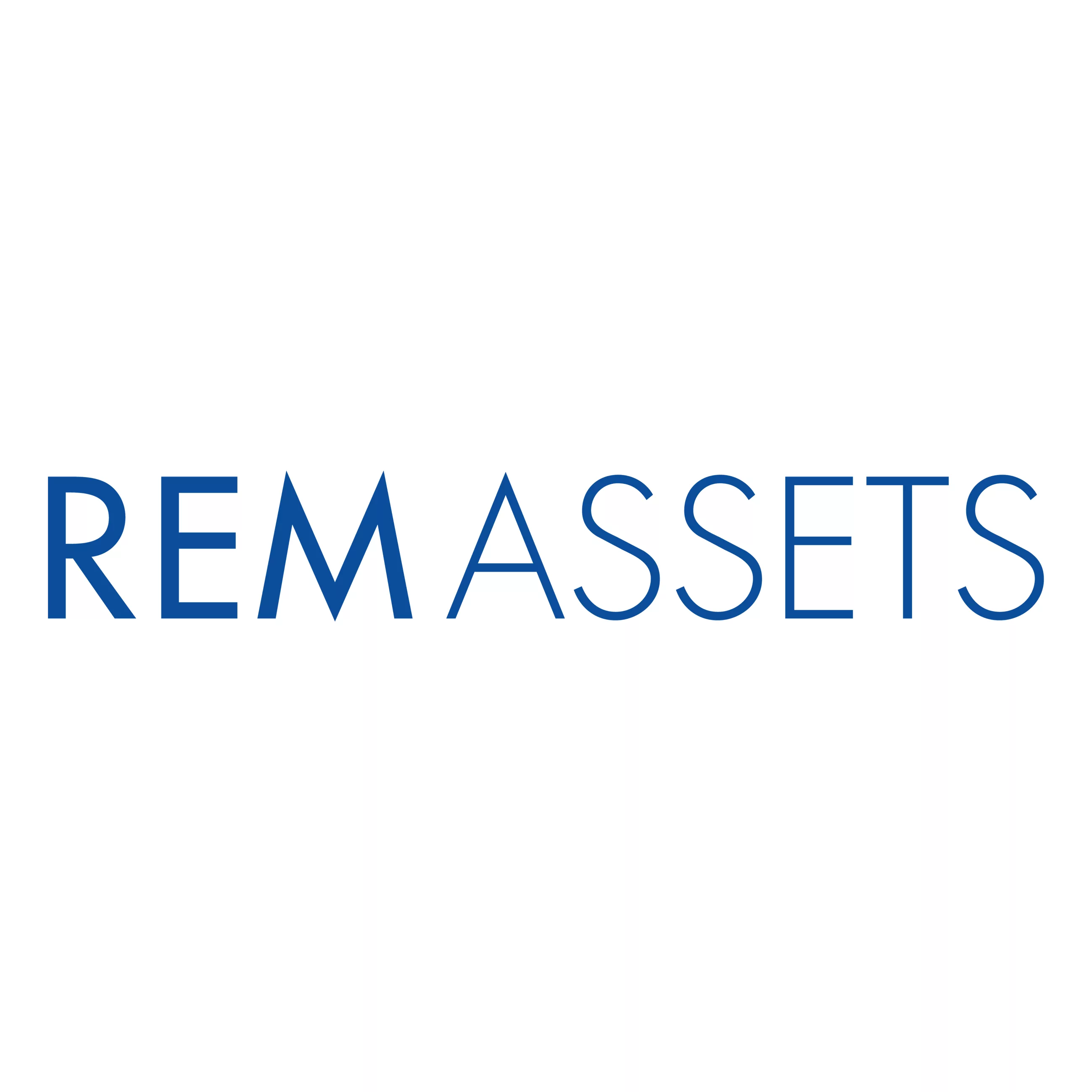 REM Assets
