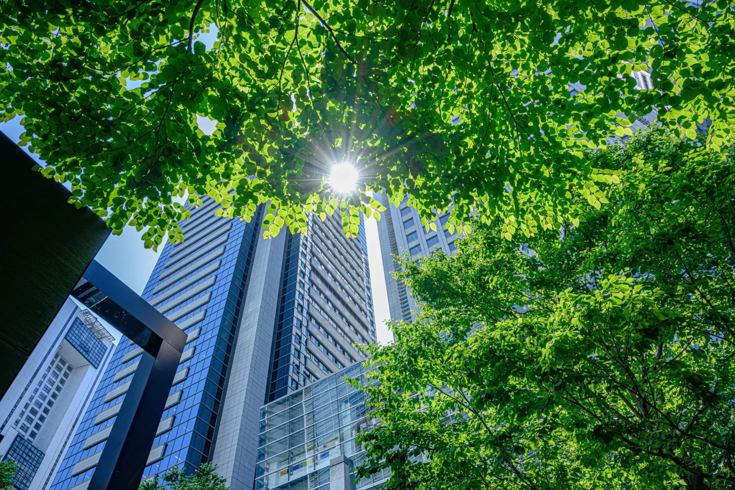 EU-Taxonomie: Bedeutung und Herausforderungen bei der Immobilientransaktion