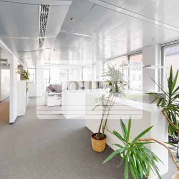 Open Space