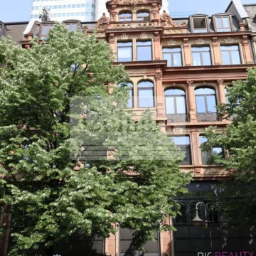 1. Ansicht