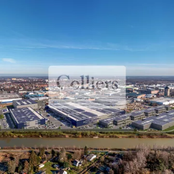 Birdview Visualisierung