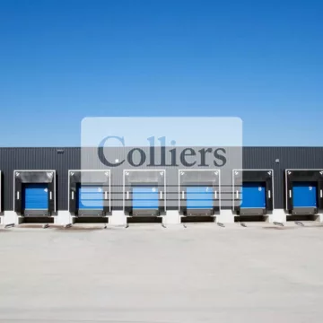 Titelbild für Anzeige