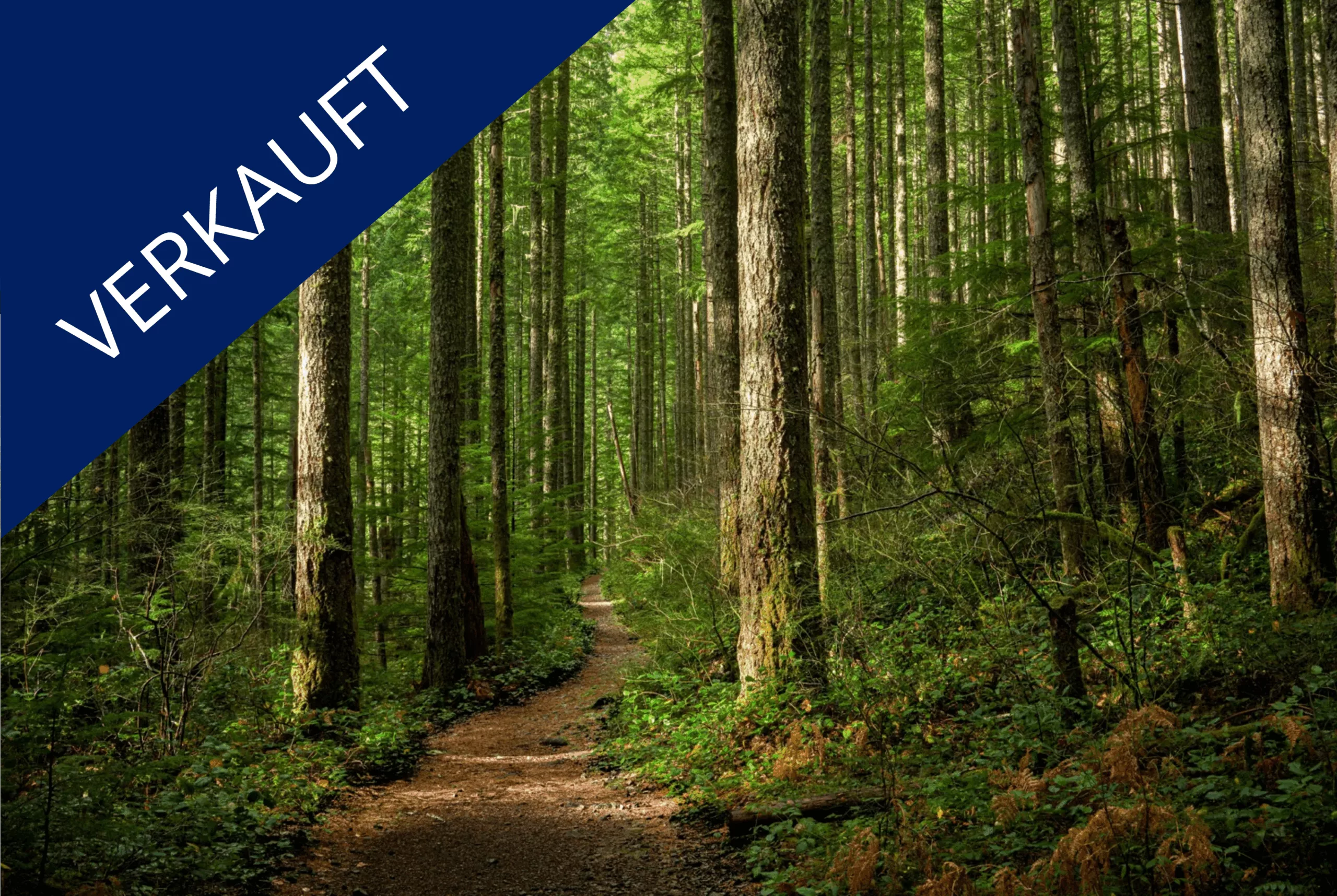 SachsenAnhalt Verkauft SachsenAnhalt Verkauft