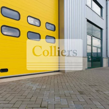 Titelbild für Anzeige