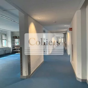 Ansicht 1