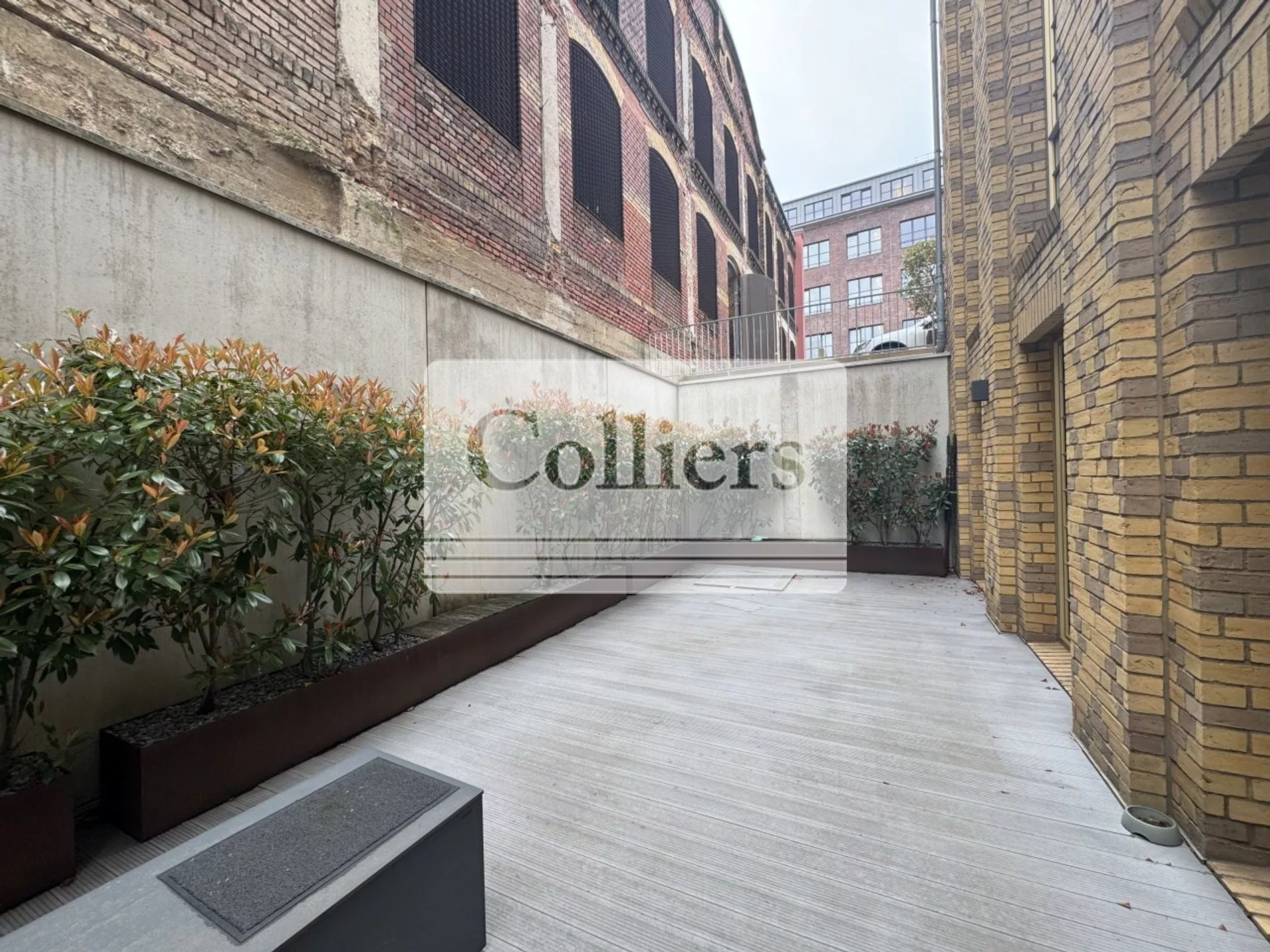 Real Estate Title Image Background